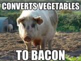 Veggie -> Bacon
